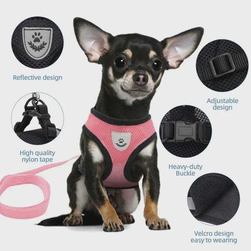 Verstelbaar Katten Tuigje met Lijn - Ademend Mesh Vest voor Kleine Honden & Katten