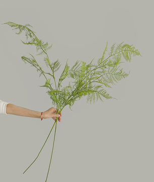 Set van 4 Kunst ASPERGE Varens Takken - 97cm Groen Decoratief