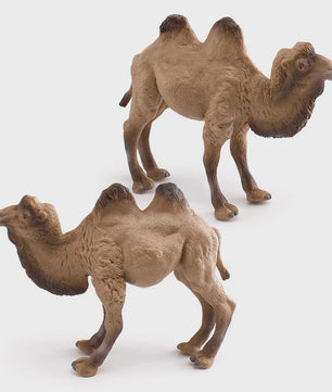 Realistische Dromedaris & Baktriaanse Kameel Figuren - Desktop Ornament