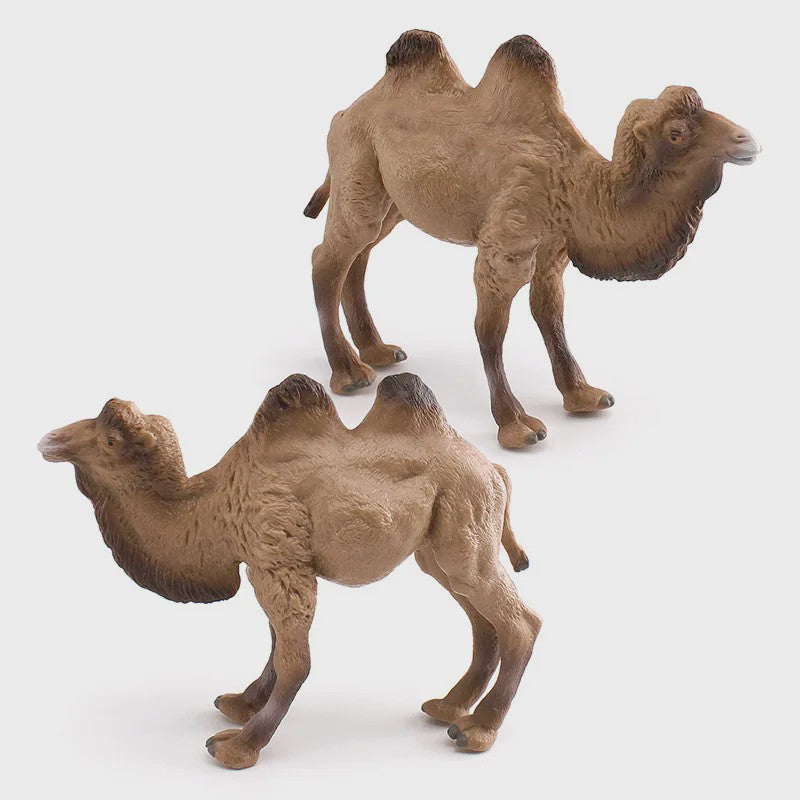 Realistische Dromedaris & Baktriaanse Kameel Figuren - Desktop Ornament