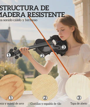 Volledige set 4/4 houten viool zwart met koffer, strijkstok, hars en accessoires