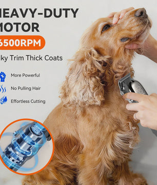 Solimpia Professionele Hond & Kat Trimmer - Krachtige 6500RPM Motor, USB Oplaadbaar, 180 Min Gebruikstijd, Stille Werking