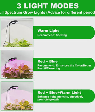 HOMEFISH LED Plantengroeilamp met Timer & Dimfunctie - Volledig Spectrum