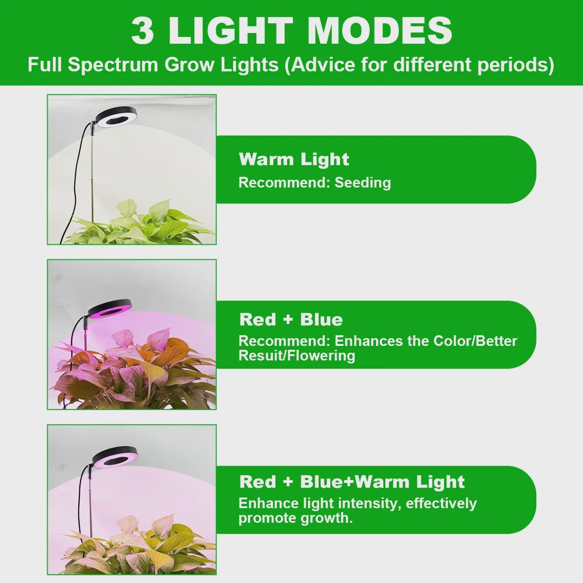 HOMEFISH LED Plantengroeilamp met Timer & Dimfunctie - Volledig Spectrum