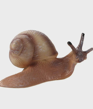 Educatieve Levenscyclus Figuren: Snail, Mantis & Sprinkhaan
