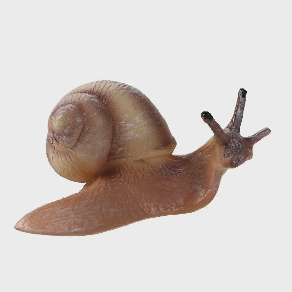Educatieve Levenscyclus Figuren: Snail, Mantis & Sprinkhaan