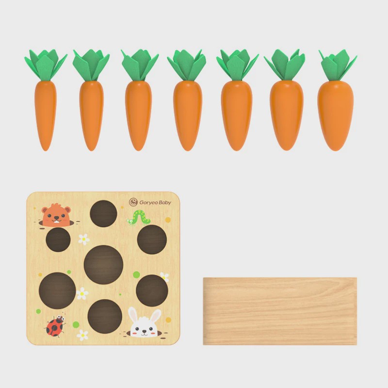 Houten Montessori Wortel Puzzel - Educatief Speelgoed voor Baby's en Kinderen
