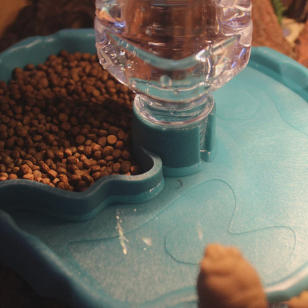 Automatische Reptielen Voerbak en Waterschaal - Afneembaar & Makkelijk Schoon te Maken