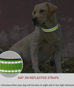 Reflecterende Hondenhalsband - Verstelbaar Nylon, Veilig en Duurzaam