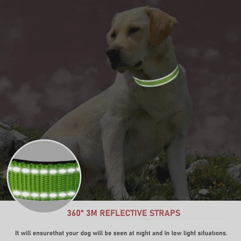 Reflecterende Hondenhalsband - Verstelbaar Nylon, Veilig en Duurzaam