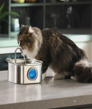 RVS Automatische Drinkfontein 3.2L voor Katten & Honden met Zichtvenster