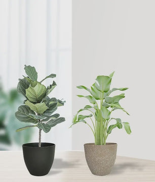 Stijlvolle Kunststof Bloempotten met Steenlook - Duurzaam & Europees Design