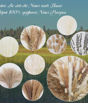 105 Delige Boho Stijl Pampasgras & Gedroogde Bloemen Decoratie Set