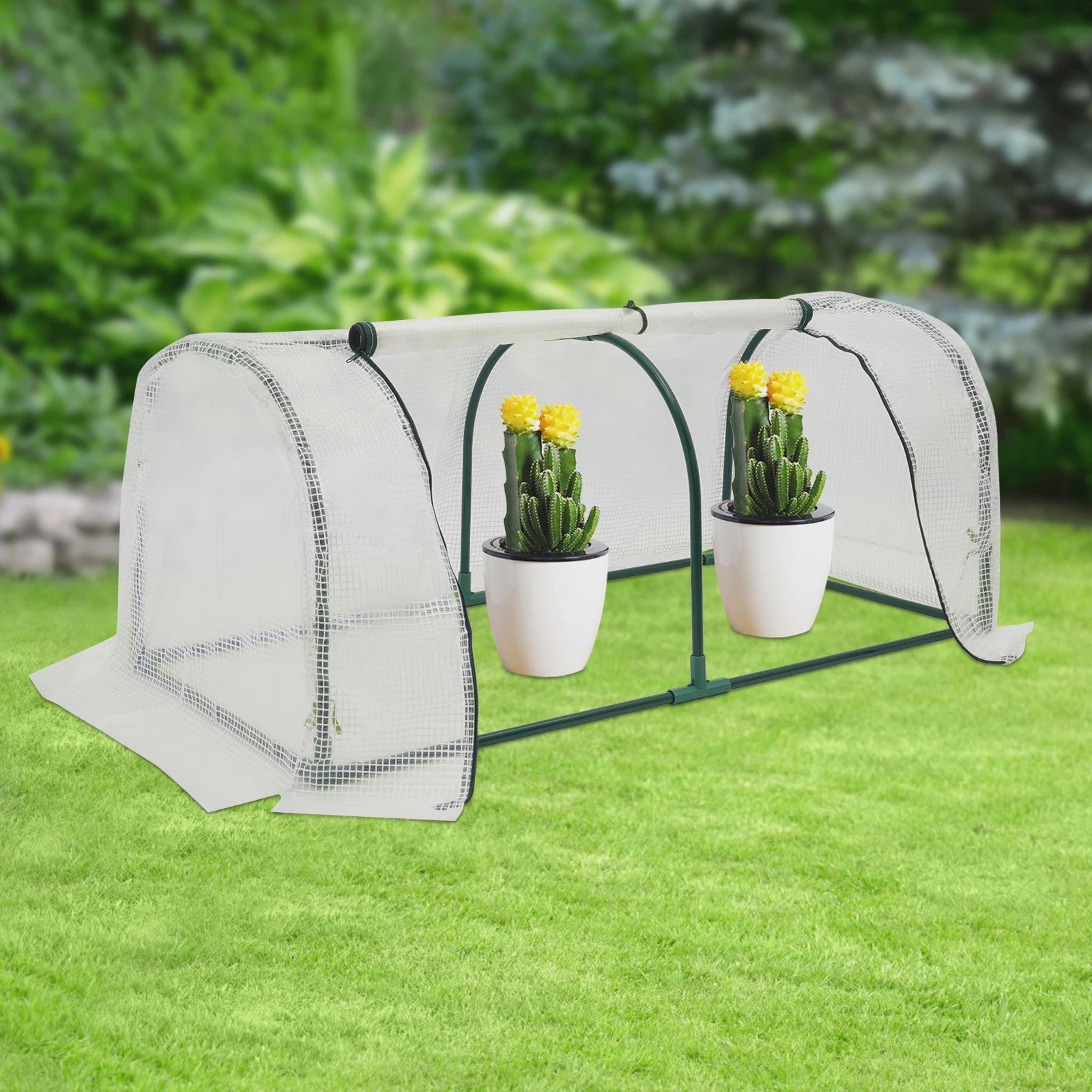 Kleine Kweekkas 120x60x50cm met oprolbare ramen - Ideaal voor balkon en tuin