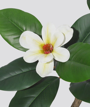 Kunst Magnolia Boom met Witte Pot - 150/180/210cm - Luxe Kunstplant voor Binnen