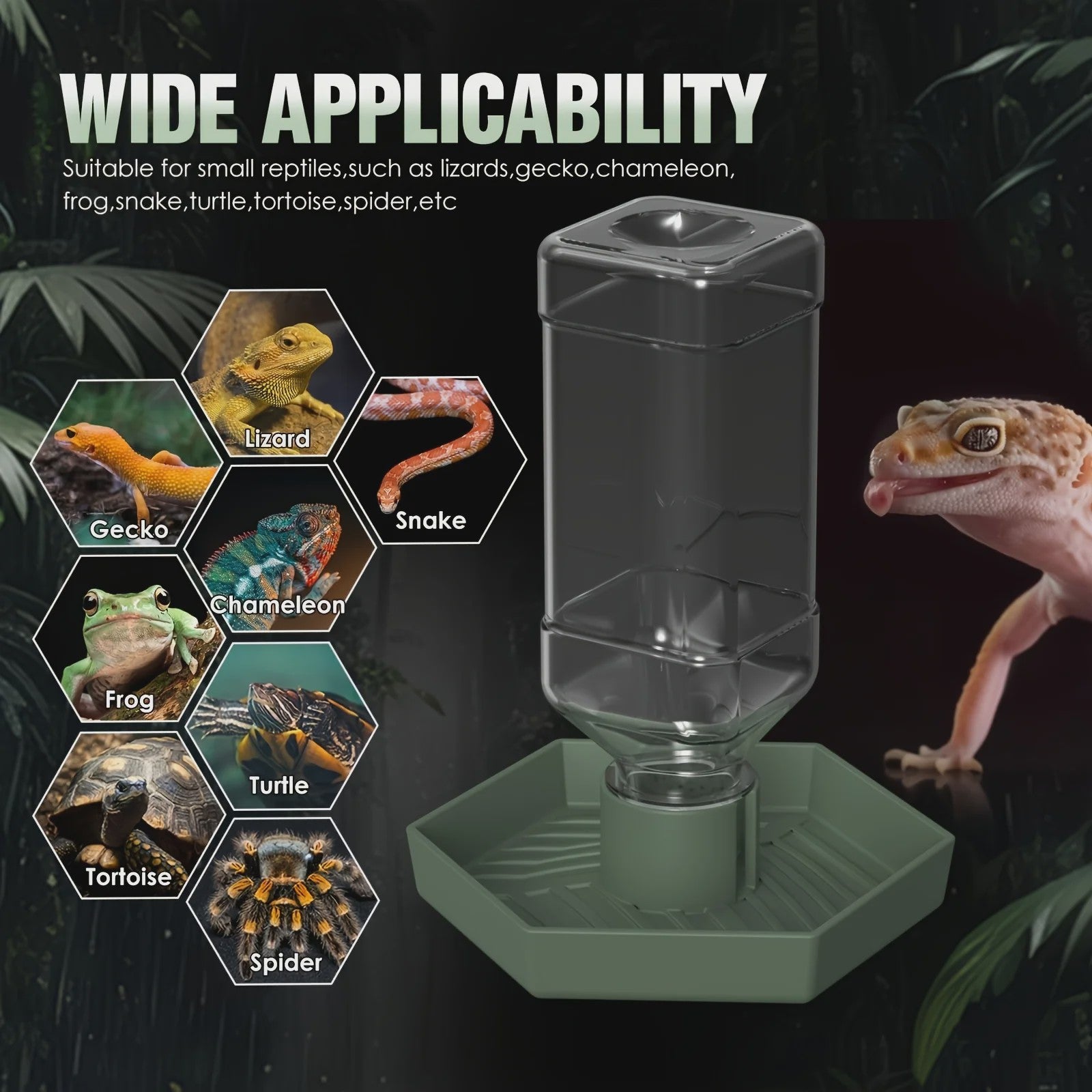 Automatische Reptielen Voerbak en Waterdispenser voor Kleine Hagedissen, Kikkers, Slangen en Schildpadden
