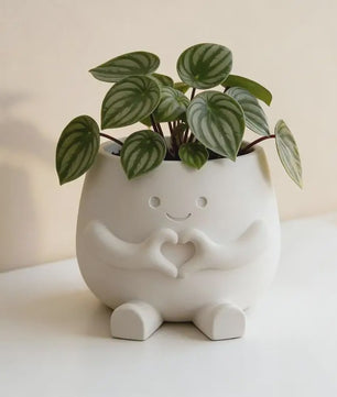 Unieke Bloempot met Gezicht - Schattige Resin Plantenbak voor Succulenten en Decoratie