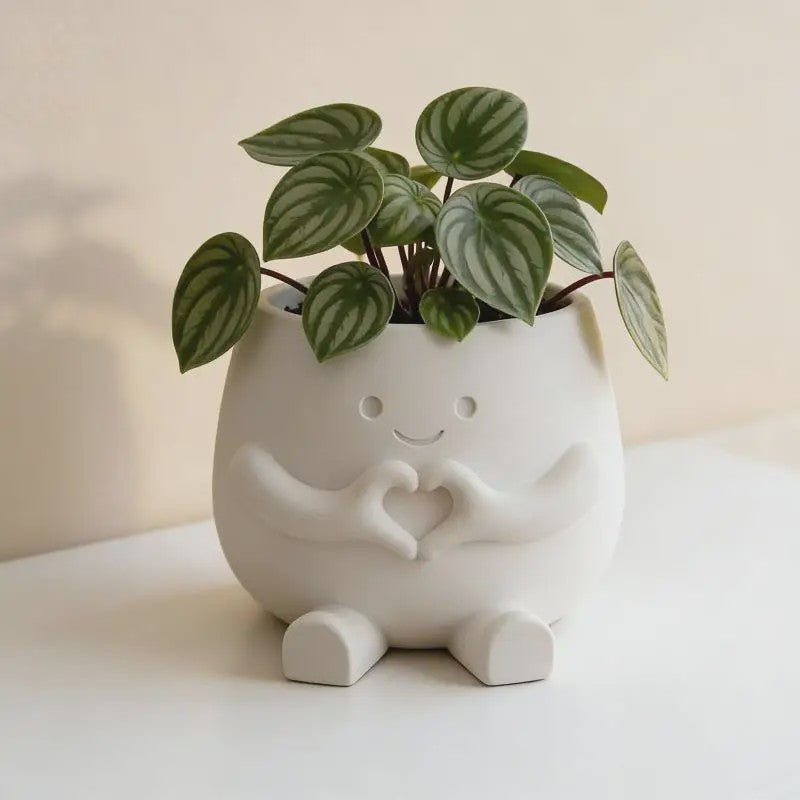 Unieke Bloempot met Gezicht - Schattige Resin Plantenbak voor Succulenten en Decoratie