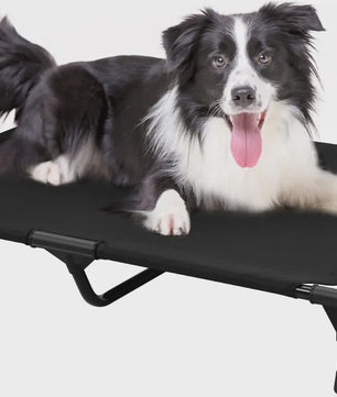 Verhoogd Hondenbed met Metalen Frame - Koel en Comfortabel voor Hond en Kat