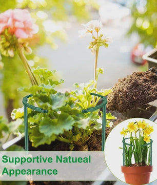 Plantensteun Stokken Set - Groen Plastic - Voor Bloemen & Planten