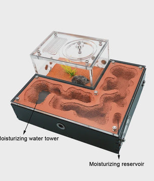 Mini Mierenboerderij met Waterreservoir - Ideaal voor Koningin en Kolonie