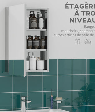 RVS Spiegelkast Badkamer met 1 Deur en 2 Legplanken - 39x12x60 cm