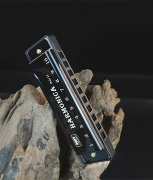 Diatonische C-Harmonica 10 Gaten - Ideaal voor Beginners, Studenten & Kinderen - Inclusief Beschermhoes
