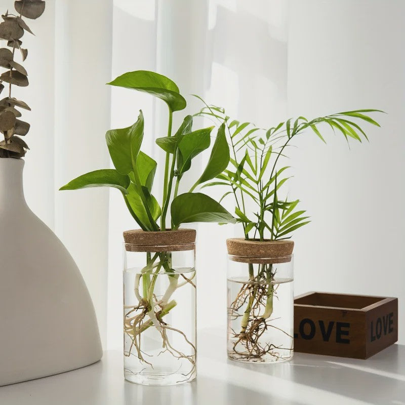 Glazen Hydroponics Vaas - Plantenstekken Station & Decoratie
