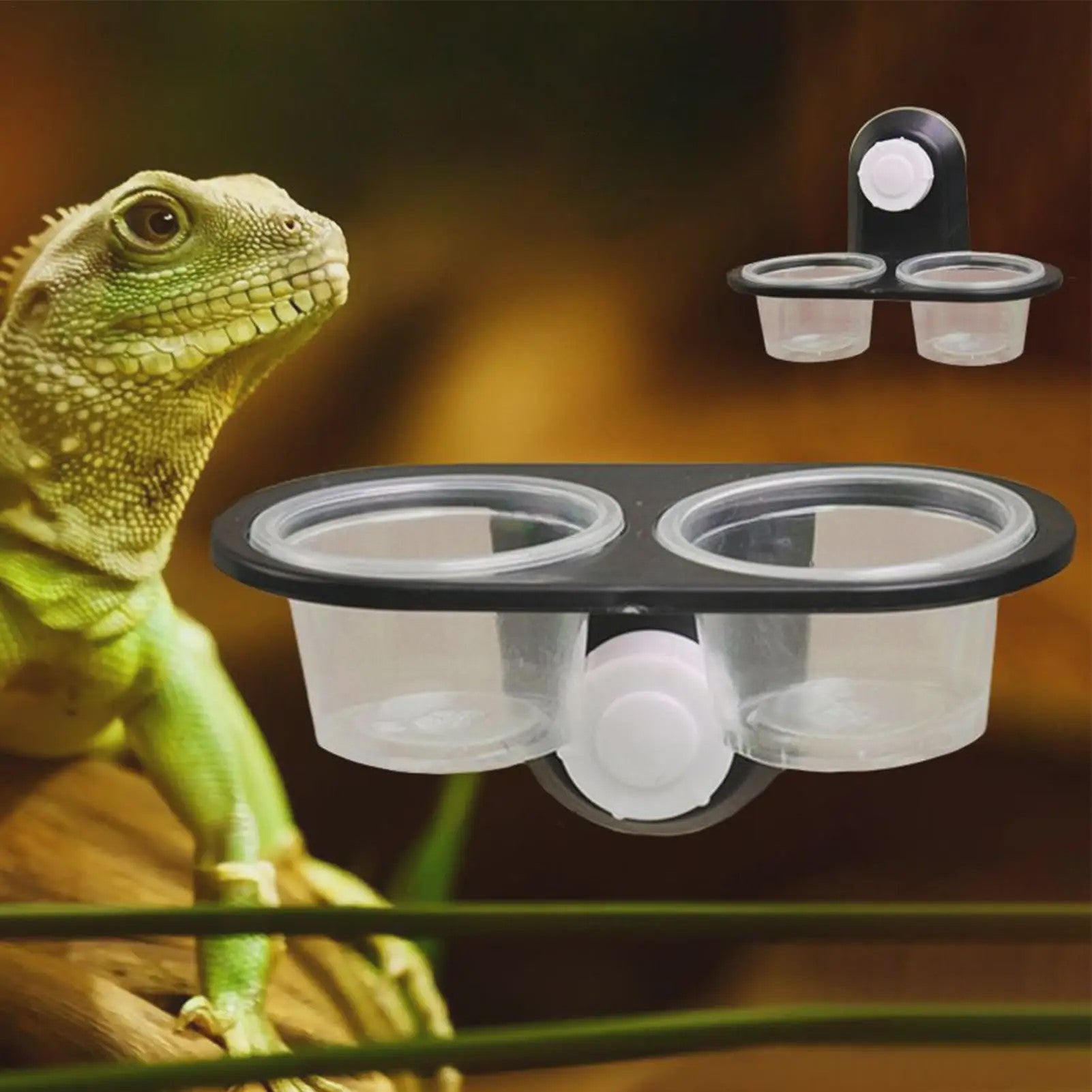 Voer- en Waterbakje met Zuignap voor Reptielen Terrarium