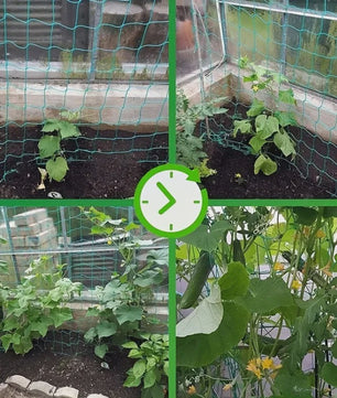 Stevig Klimnet voor Planten & Pergola's - Polyester Tuinnet met Vierkante Mallas