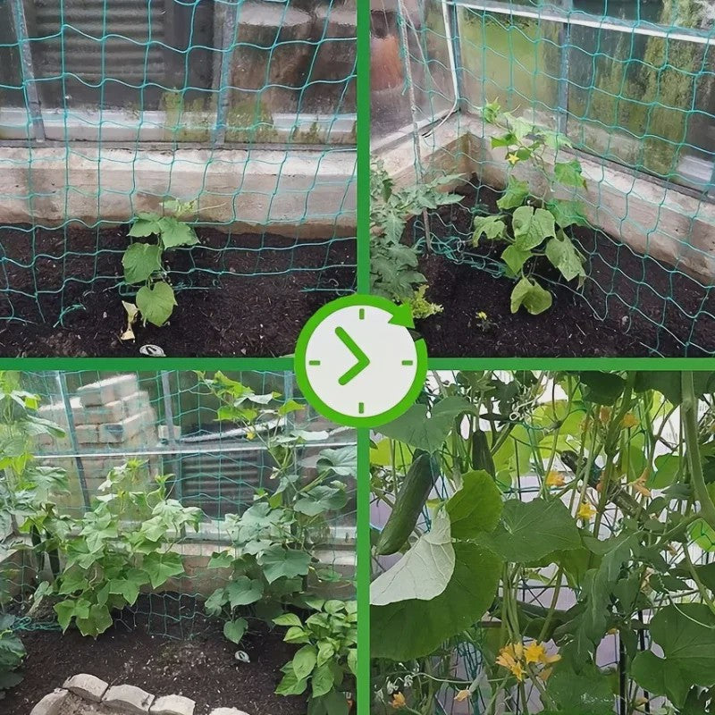 Stevig Klimnet voor Planten & Pergola's - Polyester Tuinnet met Vierkante Mallas