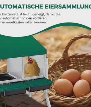 Legnest Kippen 4 Vakken Metaal Groen met Automatische Eierafvoer