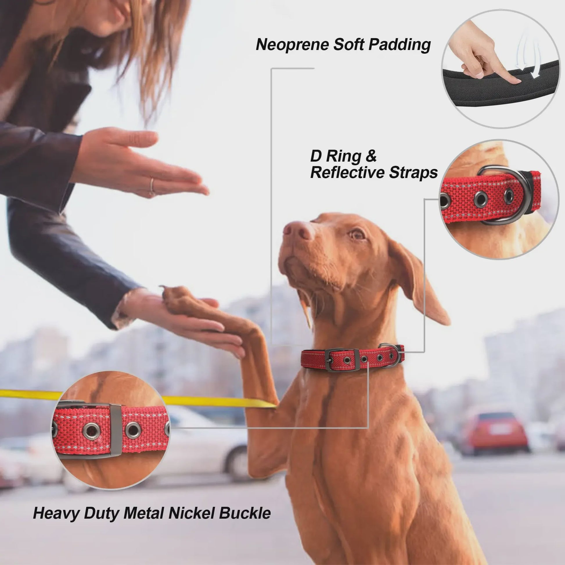 Veilige Hondenhalsband met Reflecterende Strepen - Ontsnappingsbestendig Nylon, Zachte Vulling & Snel-Sluiting