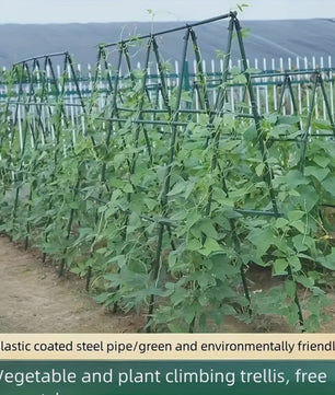 20x Stevige Tuinstokken - Multifunctionele Ondersteuning voor Groenten, Klimplanten & Fruit