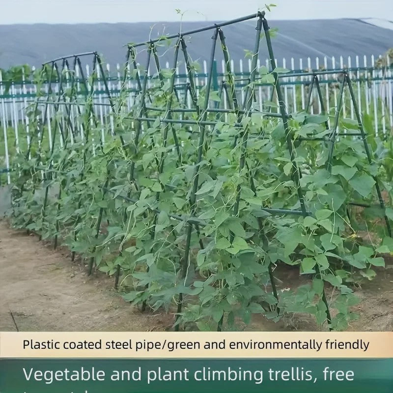 20x Stevige Tuinstokken - Multifunctionele Ondersteuning voor Groenten, Klimplanten & Fruit