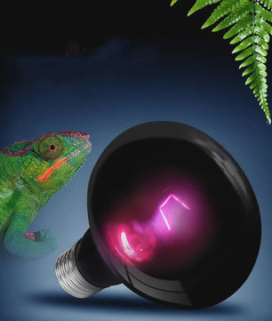 Reptielen UVA Infrarood Maanlicht Warmtelamp - 25W t/m 100W