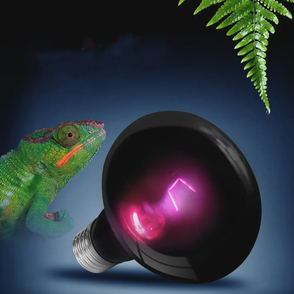 Reptielen UVA Infrarood Maanlicht Warmtelamp - 25W t/m 100W