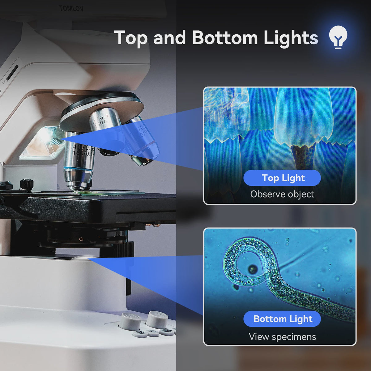 TOMLOV DM301 Max Digitale Biologische Microscoop - 1200x Zoom met 7" Scherm voor Onderwijs