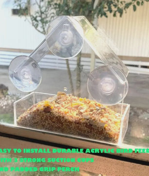 Acryl Vogelhuisje Voederhuisje voor Ramen met Zuignap - Buiten Tuin Vogelvoer Station