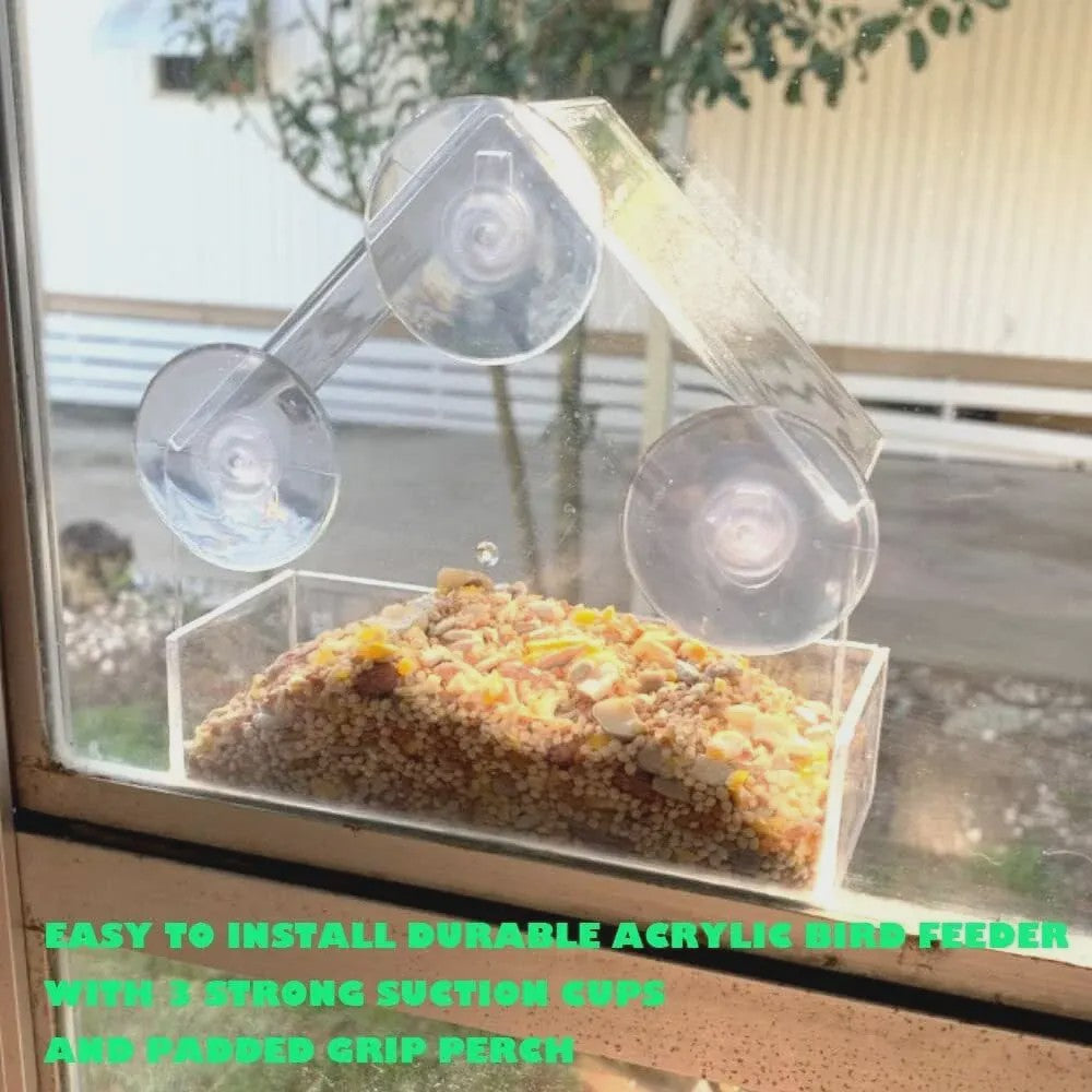 Acryl Vogelhuisje Voederhuisje voor Ramen met Zuignap - Buiten Tuin Vogelvoer Station