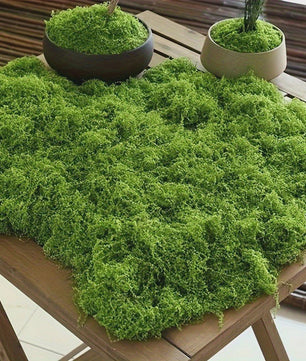Kunstmos Groen - Decoratief Kunstgras voor DIY Projecten, Tuin & Interieur