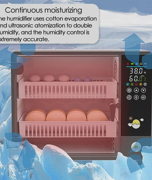 Automatische Incubator voor 24 Eieren met Temperatuurcontrole en Keerfunctie
