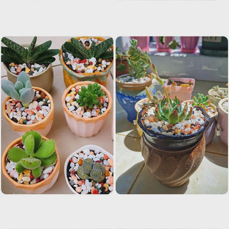 Kleurrijke Decoratieve Grindstenen voor Aquarium, Terrarium & Planten - 500/1000g