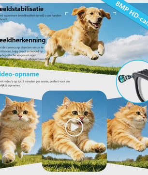AI Smart Bril met Camera: Vertaling, Foto/Video, 3600mAh Batterij & WiFi/BT
