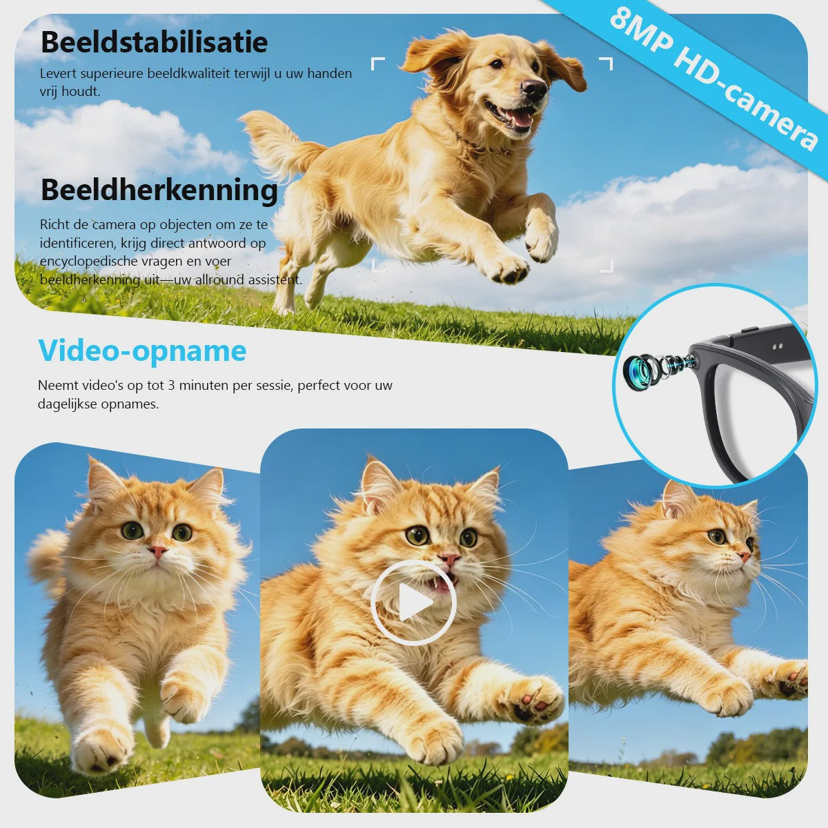 AI Smart Bril met Camera: Vertaling, Foto/Video, 3600mAh Batterij & WiFi/BT