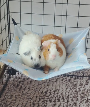 Ademende Zomerhangmat voor Kleine Huisdieren - IJszijde & Kristalfluweel