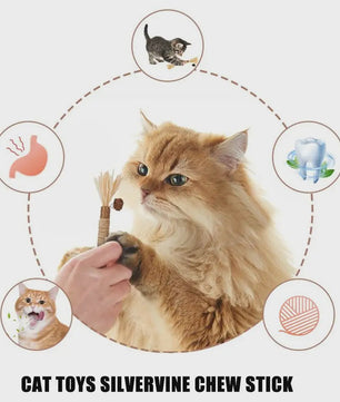 Natuurlijke Zilverrank Tandenknarsstaaf voor Katten - Speelgoed voor Tandverzorging & Reiniging
