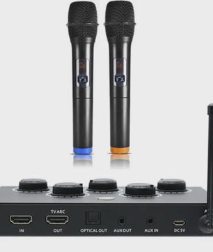 Draadloos UHF Karaoke Microfoon Systeem met Mixer voor Smart TV, PC en Home Theater
