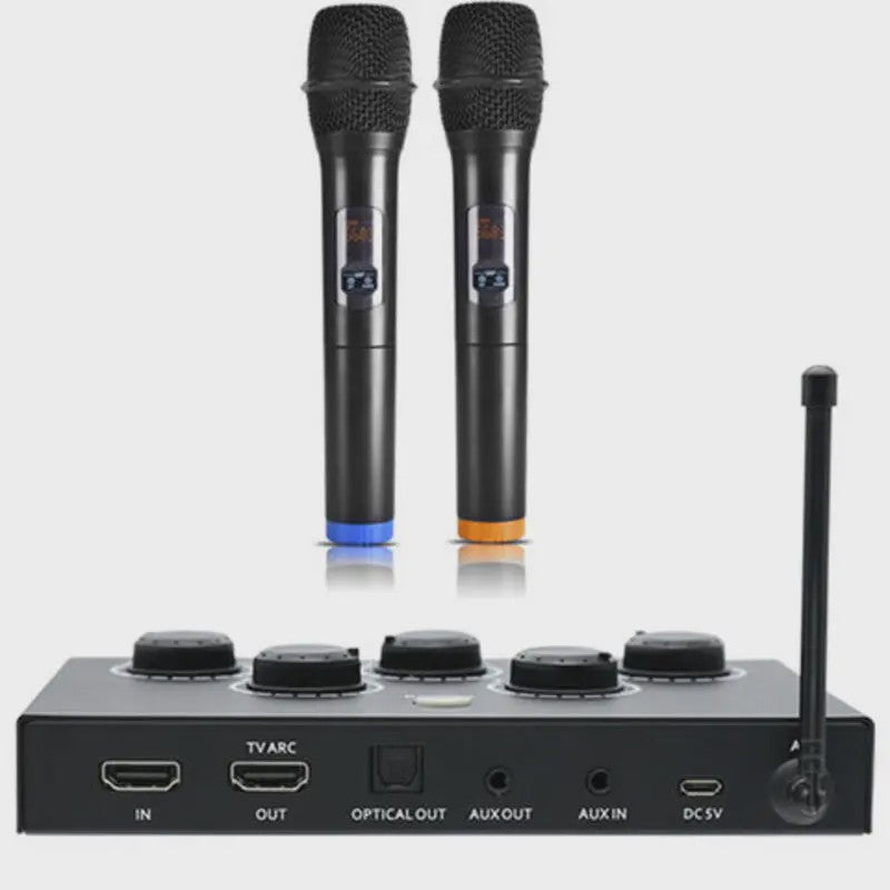 Draadloos UHF Karaoke Microfoon Systeem met Mixer voor Smart TV, PC en Home Theater