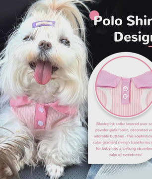 Ademend Hondenshirt met Bordeaux Kraag - Comfortabele Stretch Tanktop voor Kleine Honden